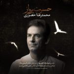 محمدرضا حضورى – حسرت پرواز
